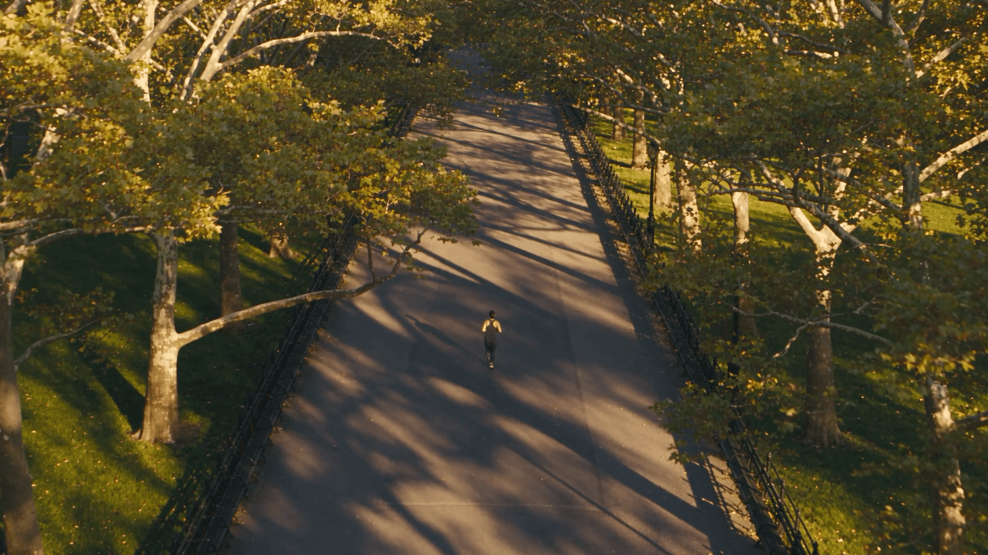 A still from the Omnis Body brand film.